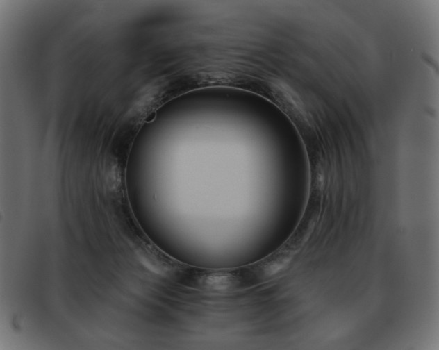 X0000093480173200710121453