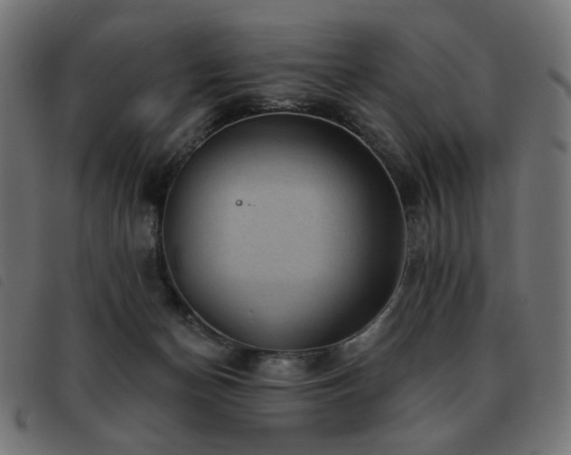 X0000093480174200710121453