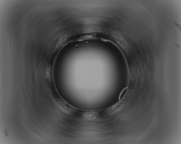X0000093480175200710121453