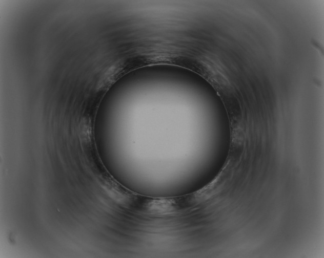X0000093480179200710121453