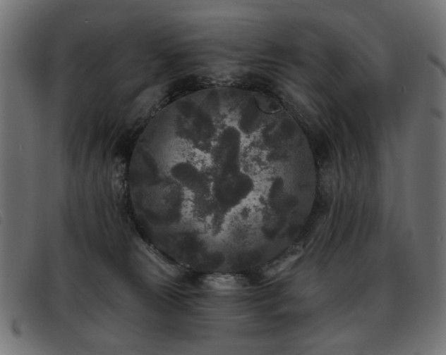 X0000093480181200710121453