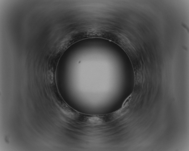 X0000093480183200710121453