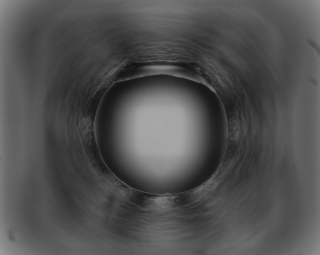 X0000093480184200710121453