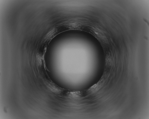 X0000093480188200710121453