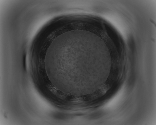X0000093480189200710121453