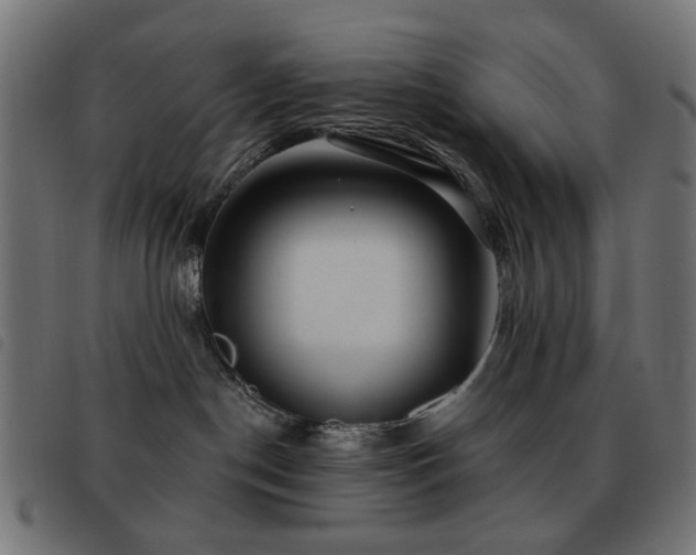 X0000093480190200710121453