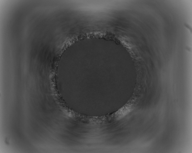 X0000093480192200710121453