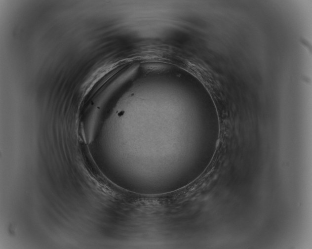 X0000093480194200710121453
