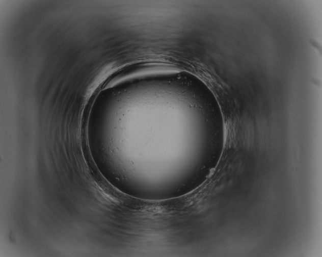 X0000093480195200710121453