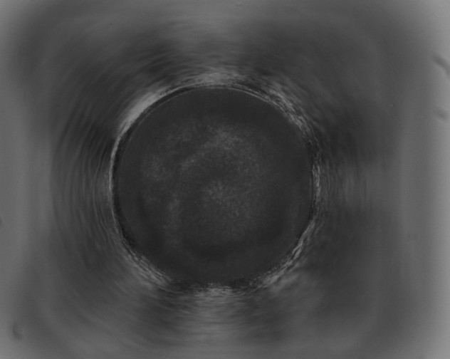 X0000093480196200710121453