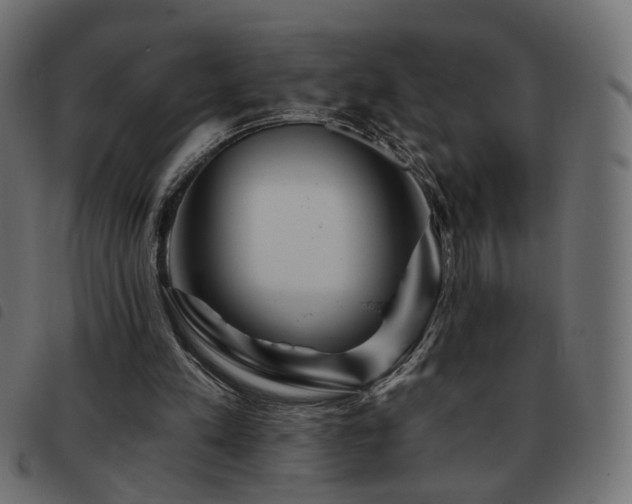 X0000093480197200710121453