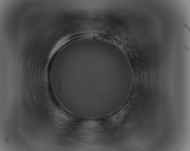 X0000093480198200710121453