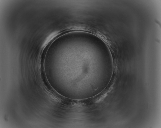 X0000093480199200710121453