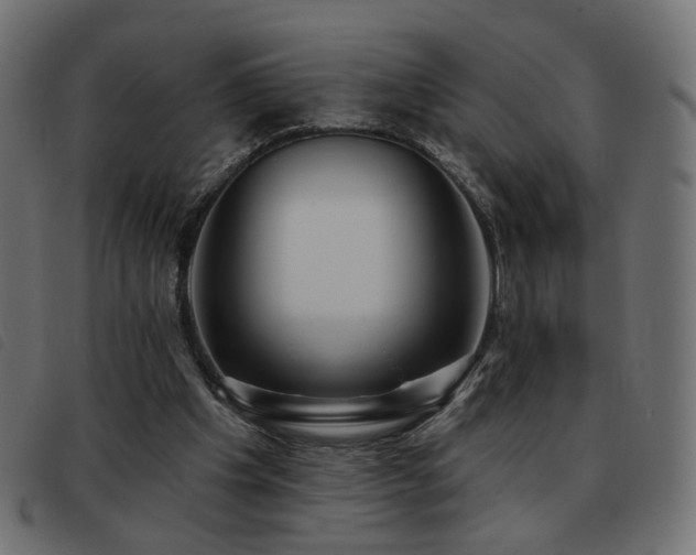 X0000093480201200710121453
