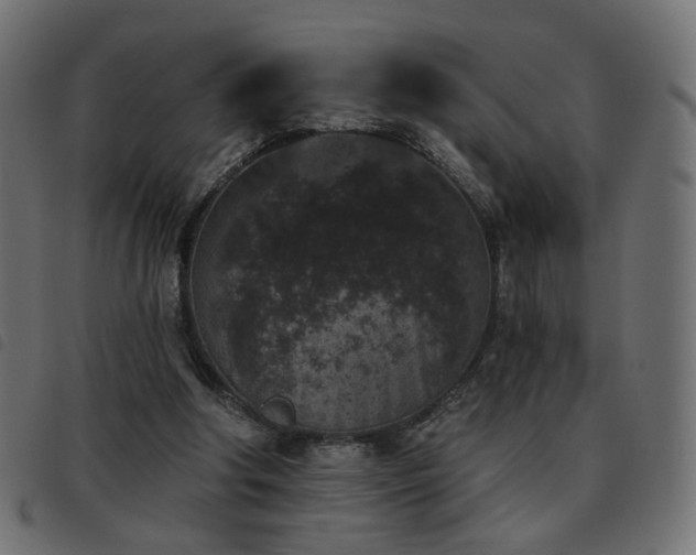 X0000093480202200710121453