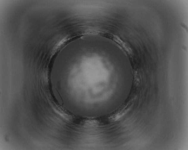 X0000093480203200710121453