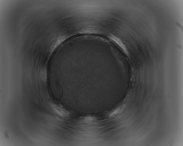 X0000093480204200710121453
