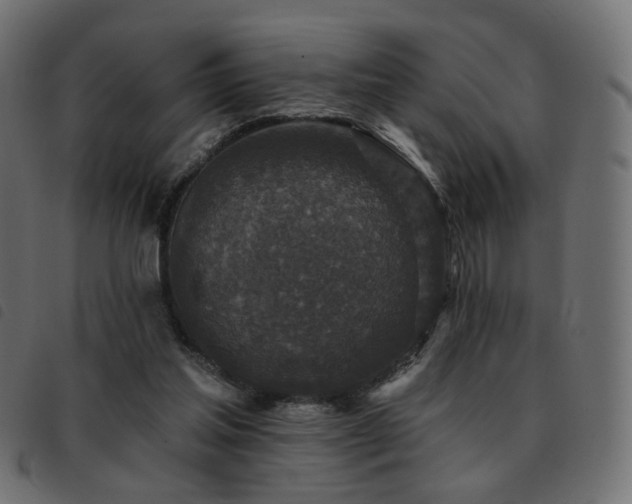 X0000093480205200710121452