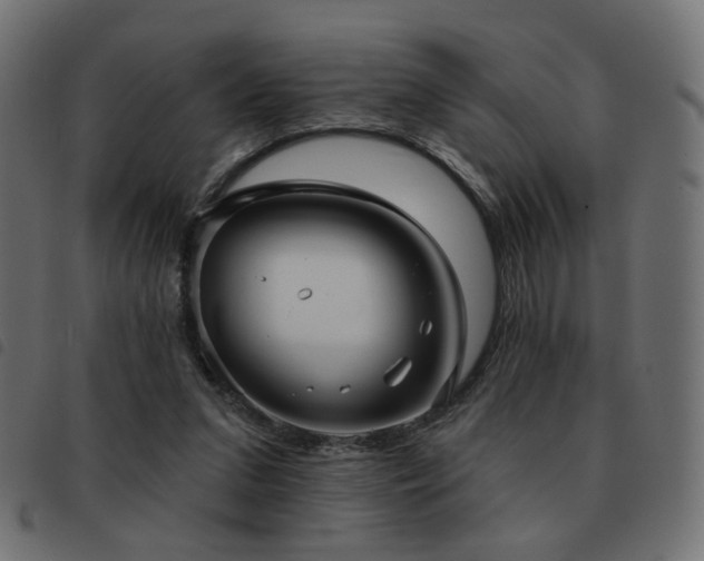 X0000093480207200710121452