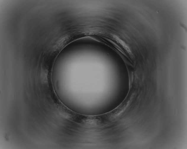 X0000093480209200710121452