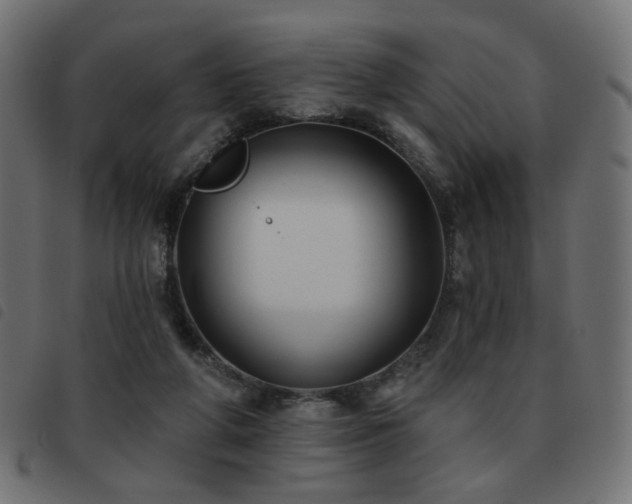 X0000093480210200710121452