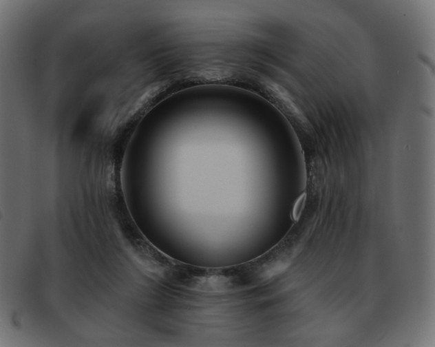 X0000093480212200710121452