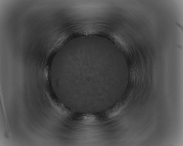 X0000093480214200710121452