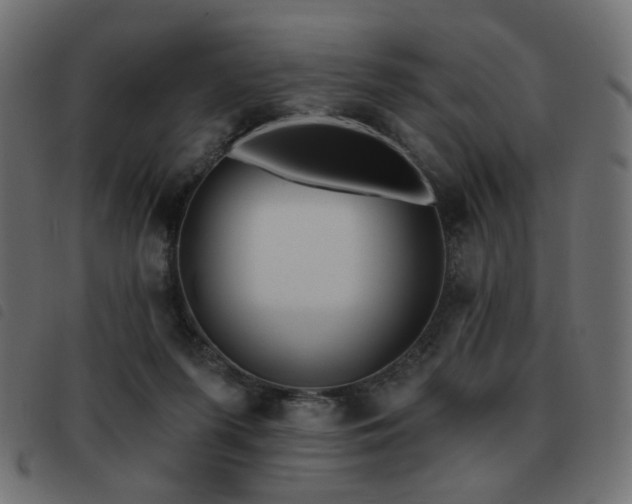 X0000093480215200710121452
