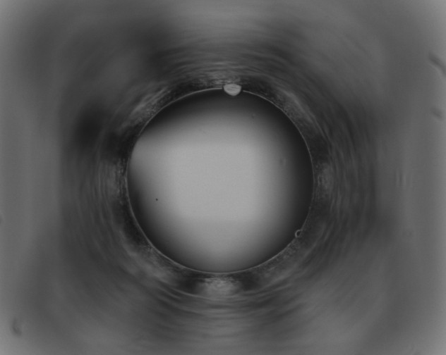 X0000093480218200710121452