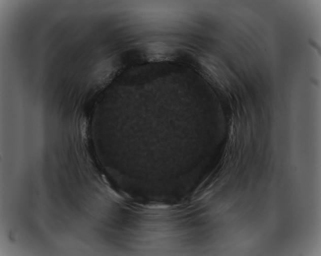 X0000093480219200710121452