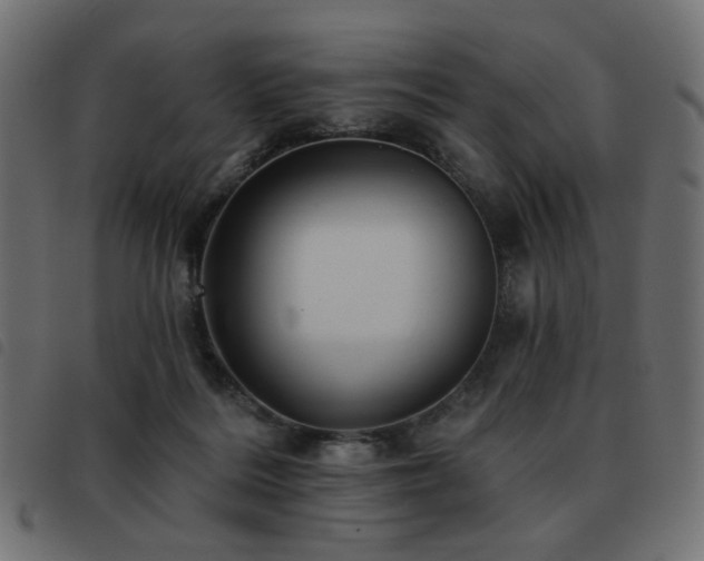 X0000093480220200710121452
