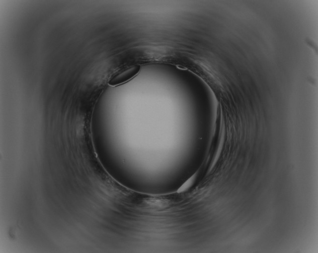 X0000093480221200710121452
