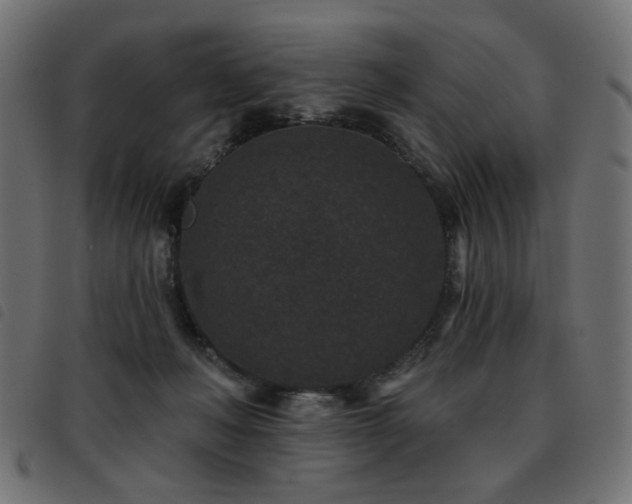 X0000093480222200710121452