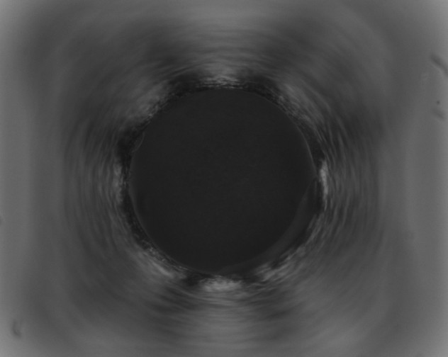 X0000093480223200710121452