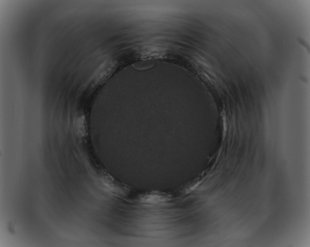 X0000093480224200710121452