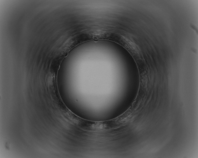 X0000093480225200710121452