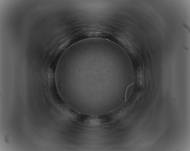 X0000093480228200710121452