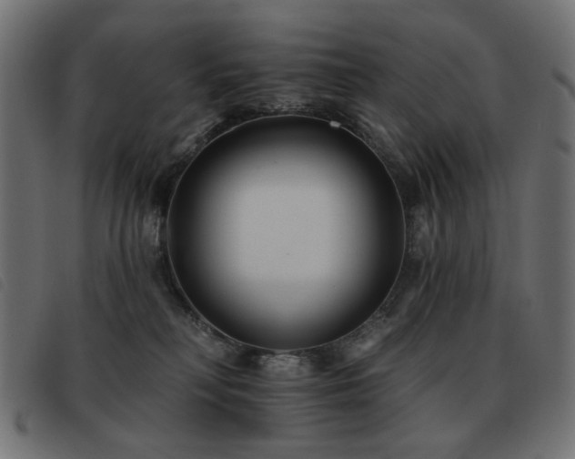 X0000093480230200710121452
