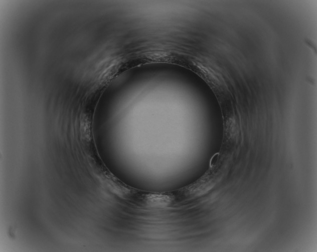 X0000093480234200710121452
