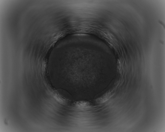 X0000093480235200710121452