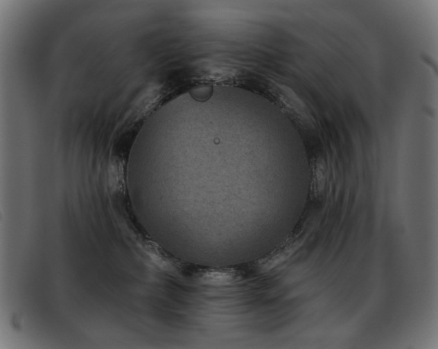 X0000093480236200710121452