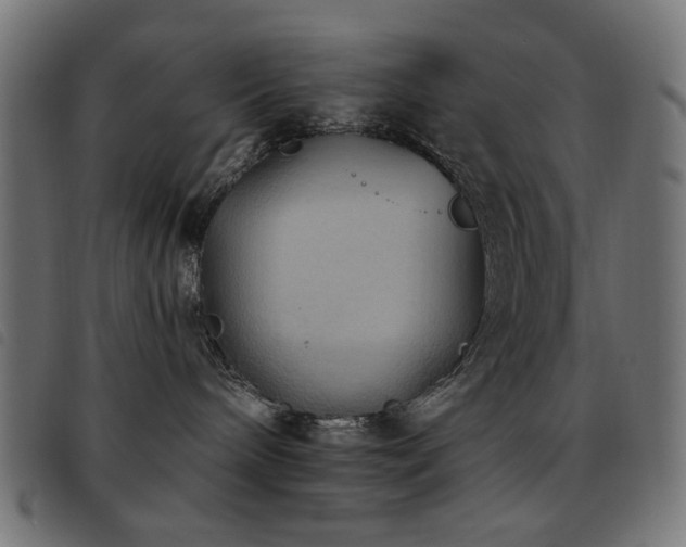 X0000093480240200710121452