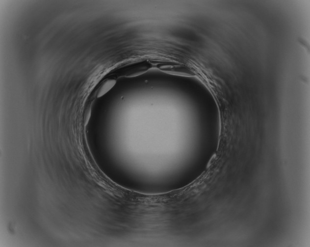 X0000093480241200710121451