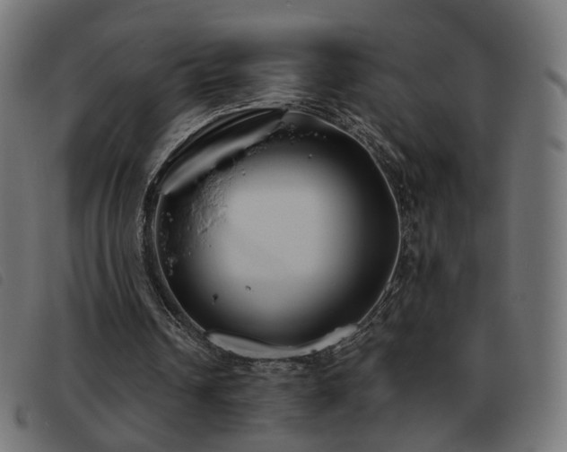 X0000093480242200710121451