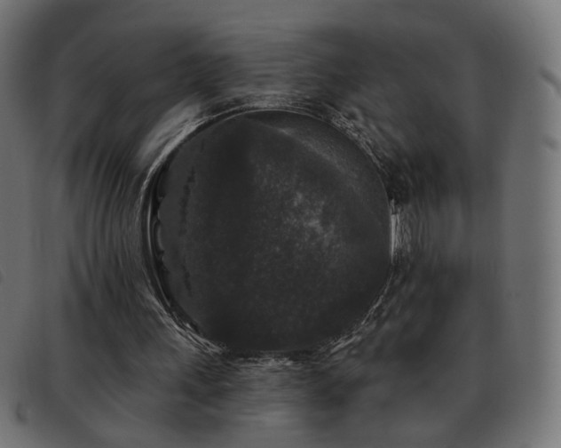 X0000093480243200710121451