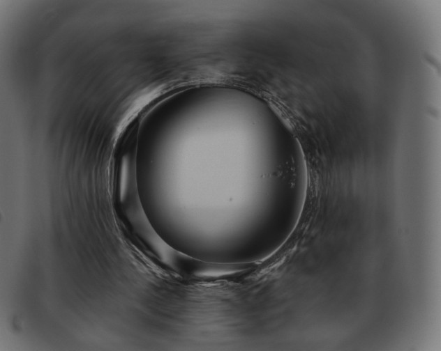 X0000093480244200710121451