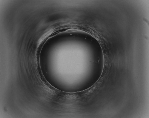 X0000093480245200710121451