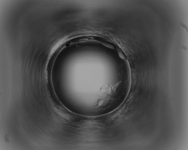 X0000093480246200710121451