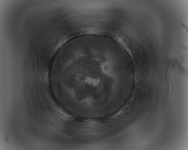 X0000093480249200710121451
