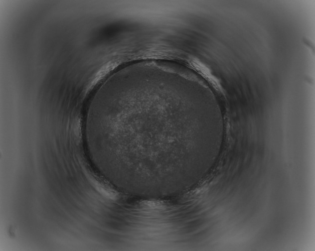 X0000093480250200710121451